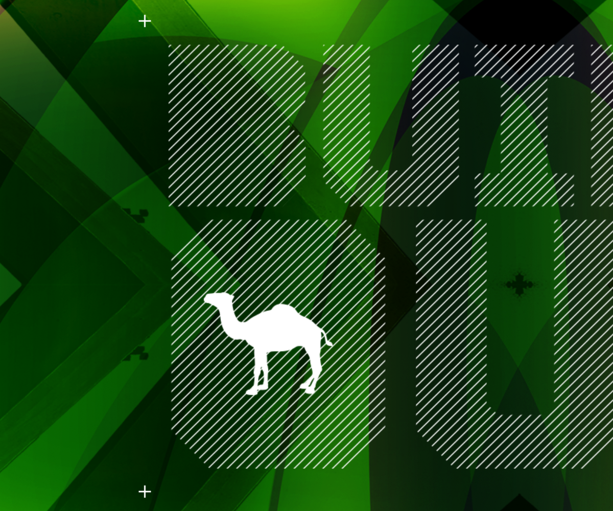 Camel